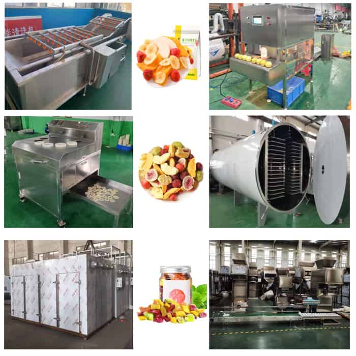 machine for dring fruits